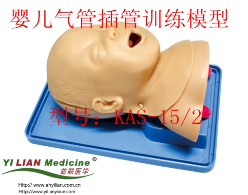 Ó¤¶ùÆø¹Ü²å¹ÜѵÁ·Ä£ÐÍ