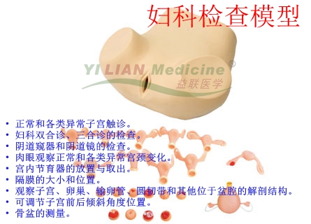 ¸¾¿Æ¼ì²éÄ£ÐÍ