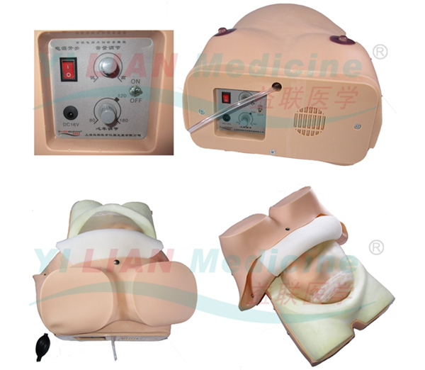 ¸ß¼¶µçÄÔÔи¾¼ì²éÄ£ÐÍ