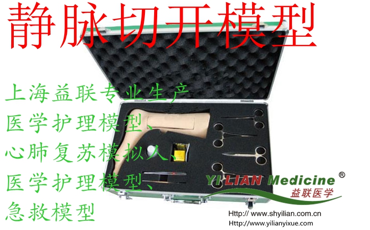 ¾²ÂöÇпªÄ£ÐÍ