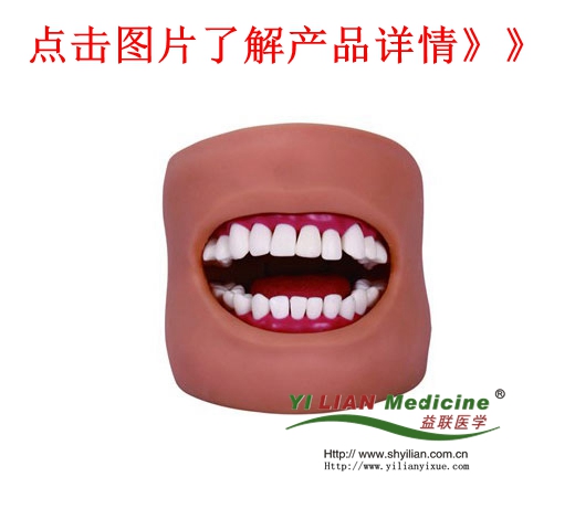 ¸ß¼¶¿ÚÇ»»¤ÀíÄ£ÐÍ