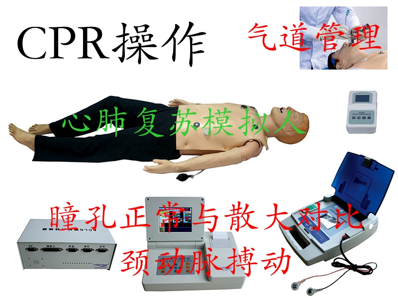 Ðķθ´ËÕÄ£ÄâÈË