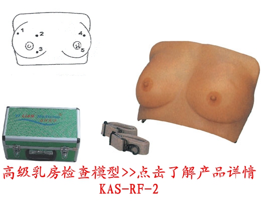 ¸ß¼¶Èé·¿¼ì²éÄ£ÐÍ