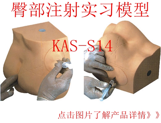 Íβ¿×¢ÉäÑÝʾģÐÍ