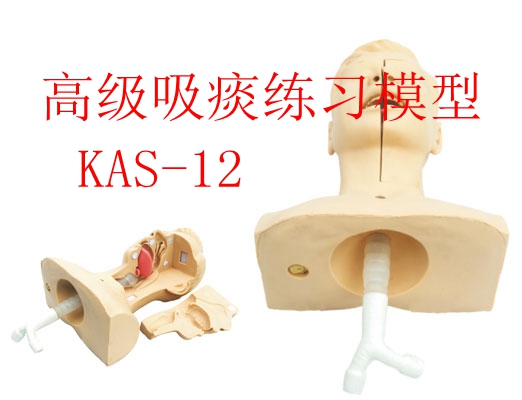 高级吸痰练习模型