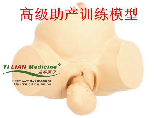 Öú²úѵÁ·Ä£ÐÍ