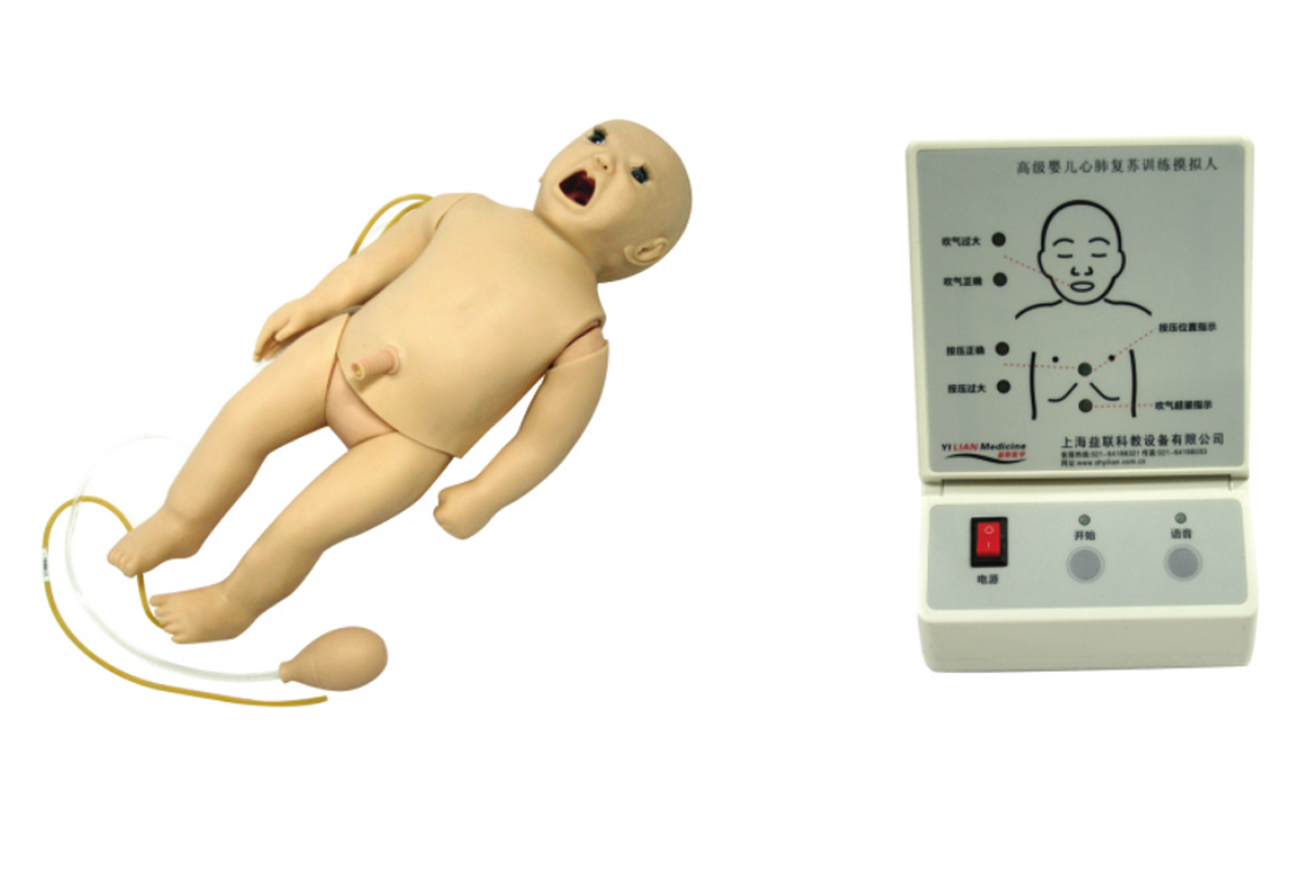 ߼๦ۺϼѵģ(ACLS߼֧Ƕʽϵͳ