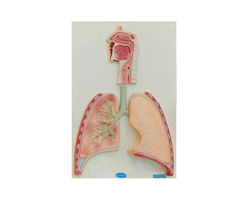 ����ϵͳ�Ź�