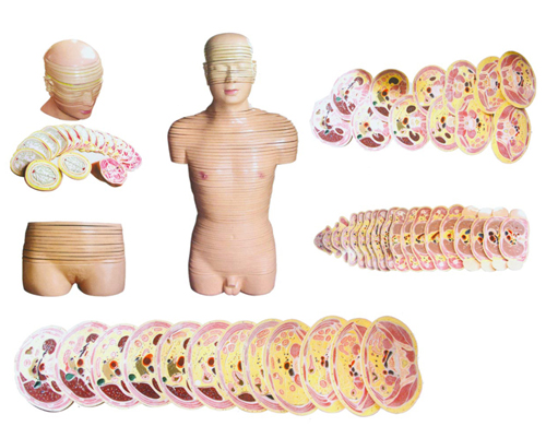 ����ͷ�����ɺ�϶ϲ����ģ��