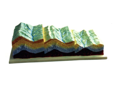 ���幹�켰��ò�ݱ�ģ��