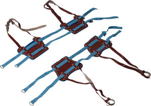 ������ǣ����