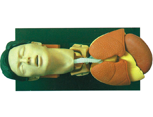 �������ܲ��ѵ������ģ��