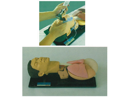 �߼����ܲ��ѵ������ģ��