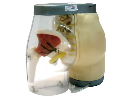 �߼��β�����ע�估�Ա�ģ��