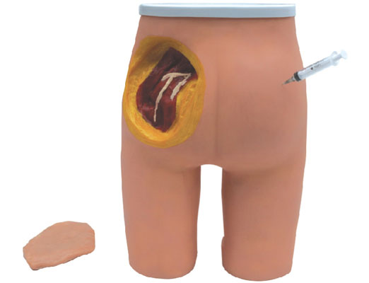 �߼��β�����ע������ʽṹģ��