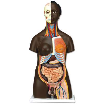 ���������������ԣ�24����