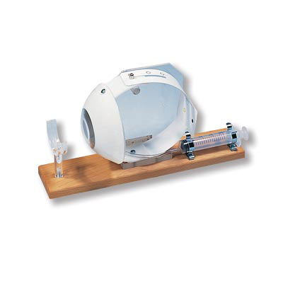 ������ģ�͡���С��