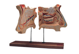 �Ǻ����������ʵ���4��