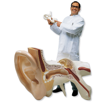 ȫ�����Ķ�ģ�ͣ�ʵ���15����3����