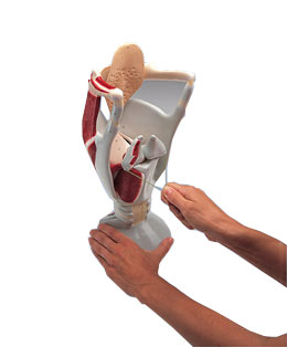 �����ʺ���ʵ���4��