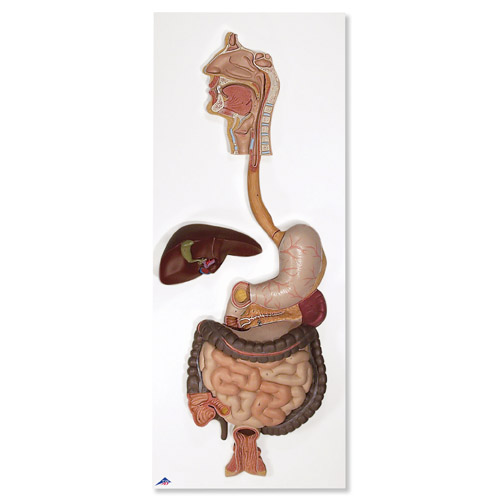 ����ϵͳģ����3����