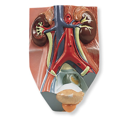 ��������ϵͳģ����ʵ���0.75��