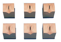 �������ģ��