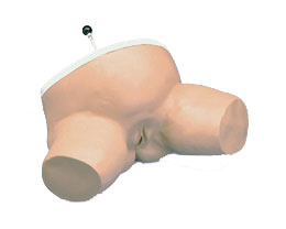 ����ģ��