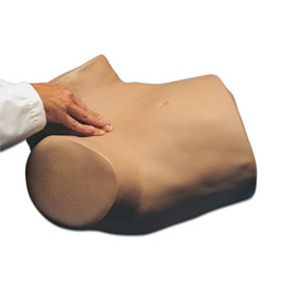 ����ģ��