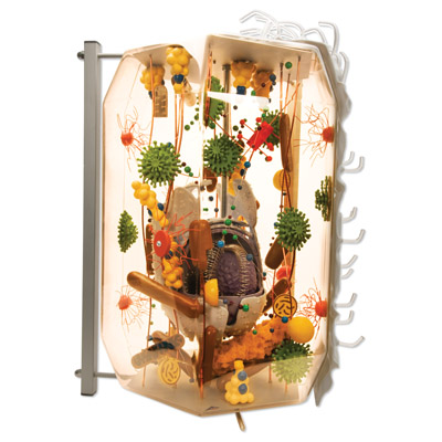 ����ϸ��ģ����ʵ���4��