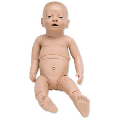 Ӥ������ģ����������