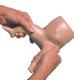 Ӥ���ɲ�ģ��