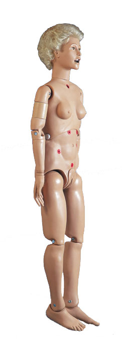 �������˻���ģ����Ů��