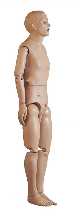 �������˻���ģ��������