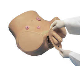 �������������ģ�������Ժ�Ů��