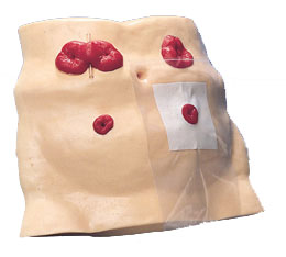 ����������ģ��