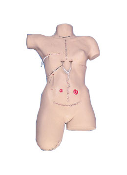 ��������ģ��