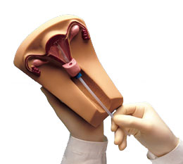 ���ڱ�������ϰģ��