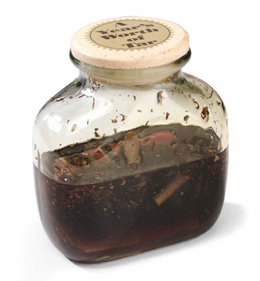 һ��Ľ�����