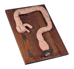 ��״�᳦�����ģ��