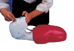 ���������Ȼ�����ģ��