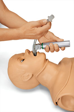 �������ģ��