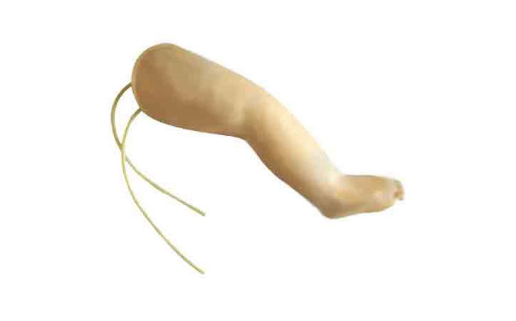 �߼�Ӥ���Ȳ���������ģ��