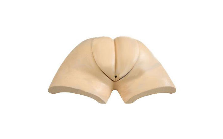 �߼���װʽ�˹�ȡ��ѵ��ģ��