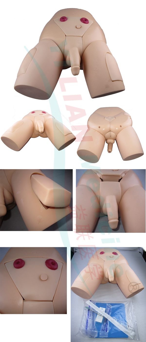 �߼��������Ե���ģ��