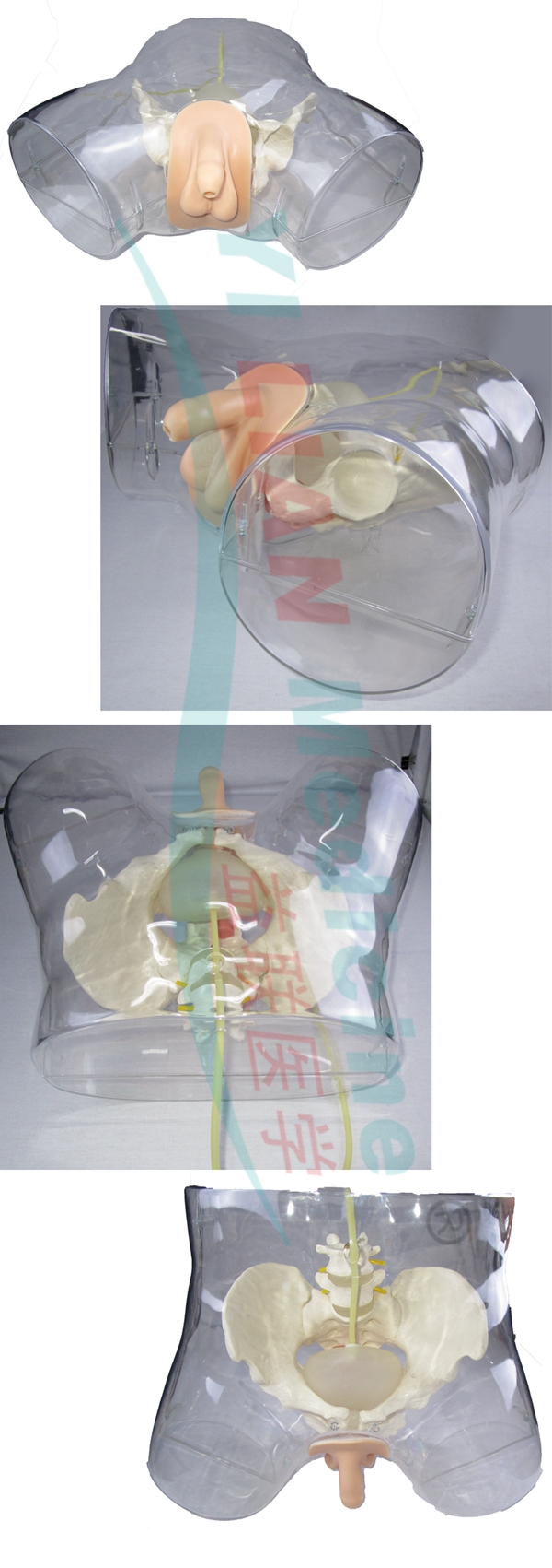 �߼�͸�����Ե���ģ��