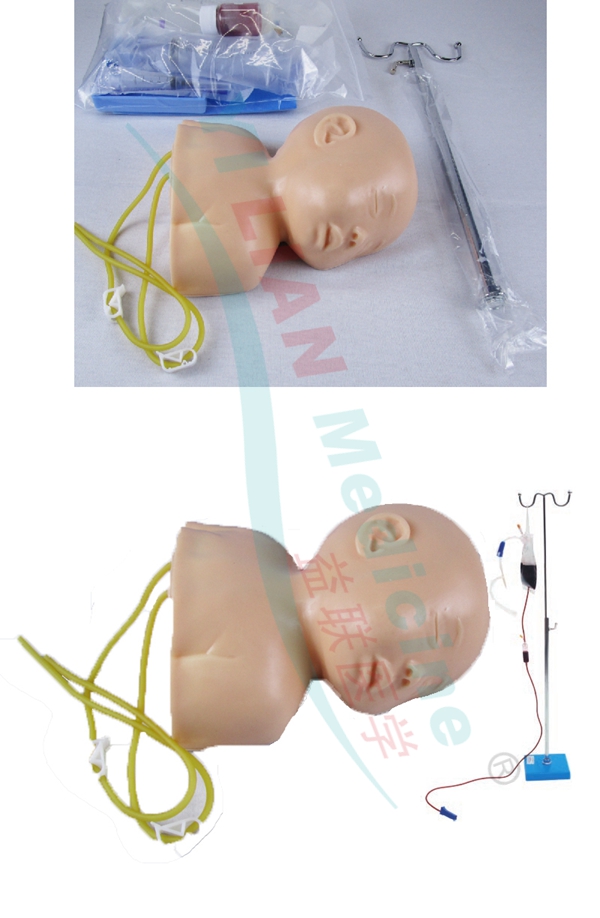 �߼�Ӥ��ͷ����������ѵ��ʾ��ģ��