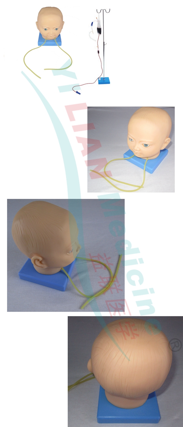 �߼��轺��ͯͷƤ����ע�䴩��ѵ��ģ��